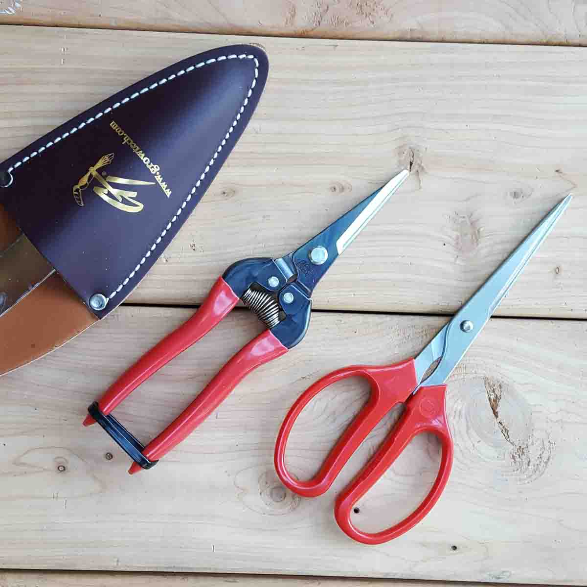 ARS Needlenose Pruners / Fruit Snips (300L)