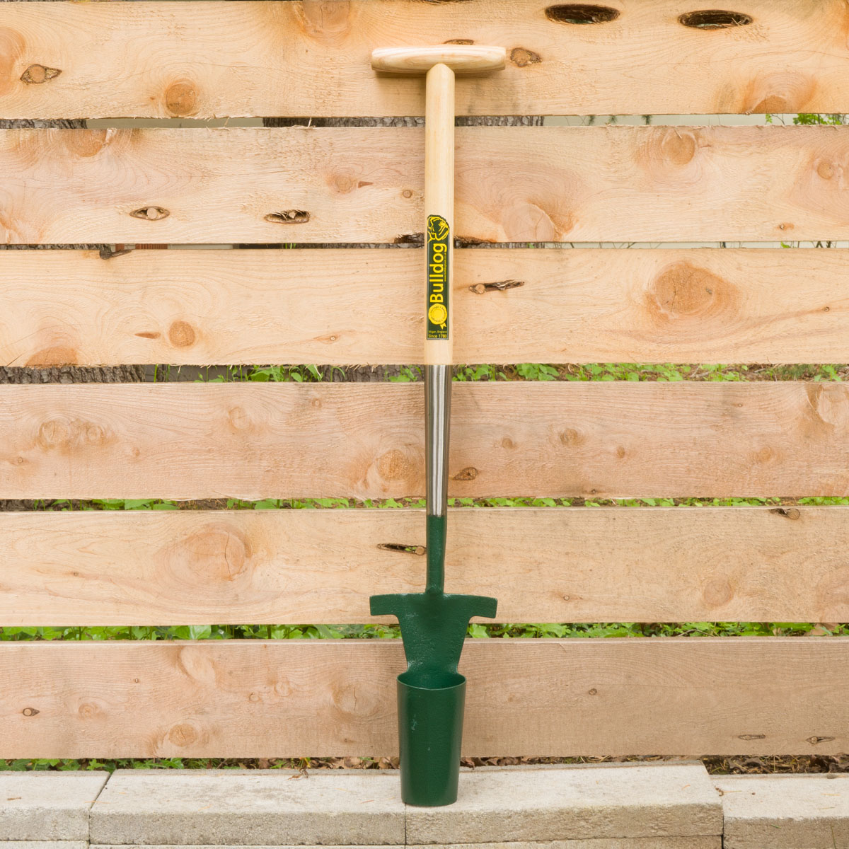 Stand Up 3" Bulb Planter (Bulldog)