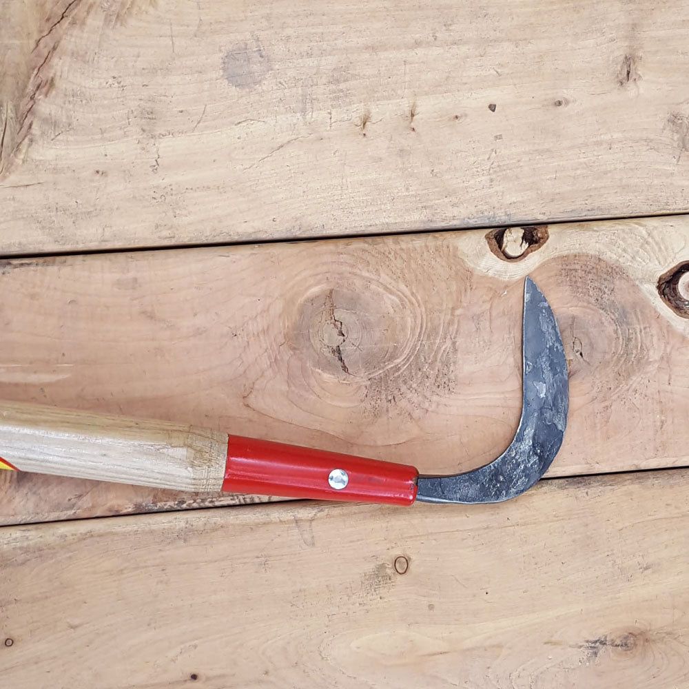 Crevice Weeder Long Handle