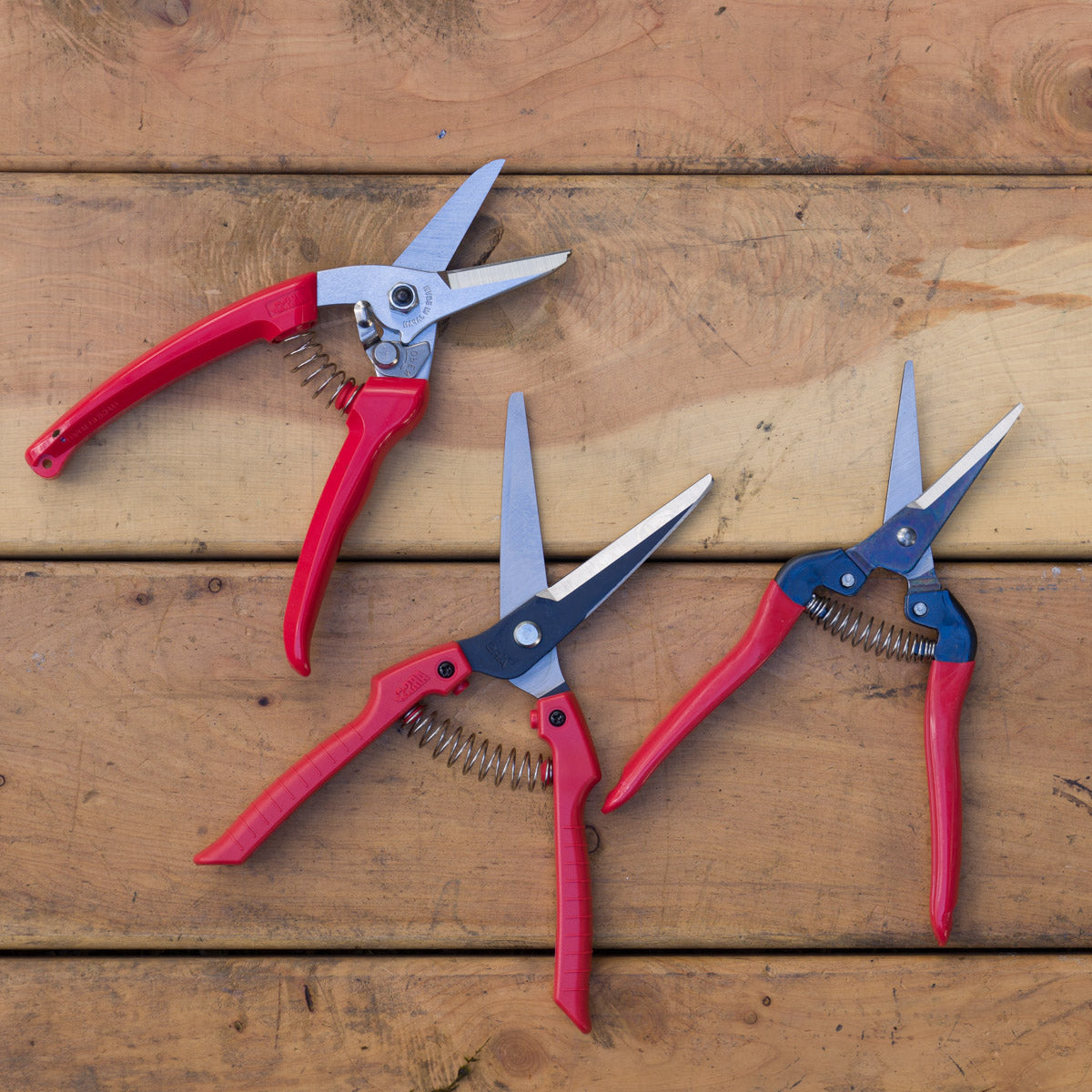 ARS Onion Scissors - extra long blade (SE65)
