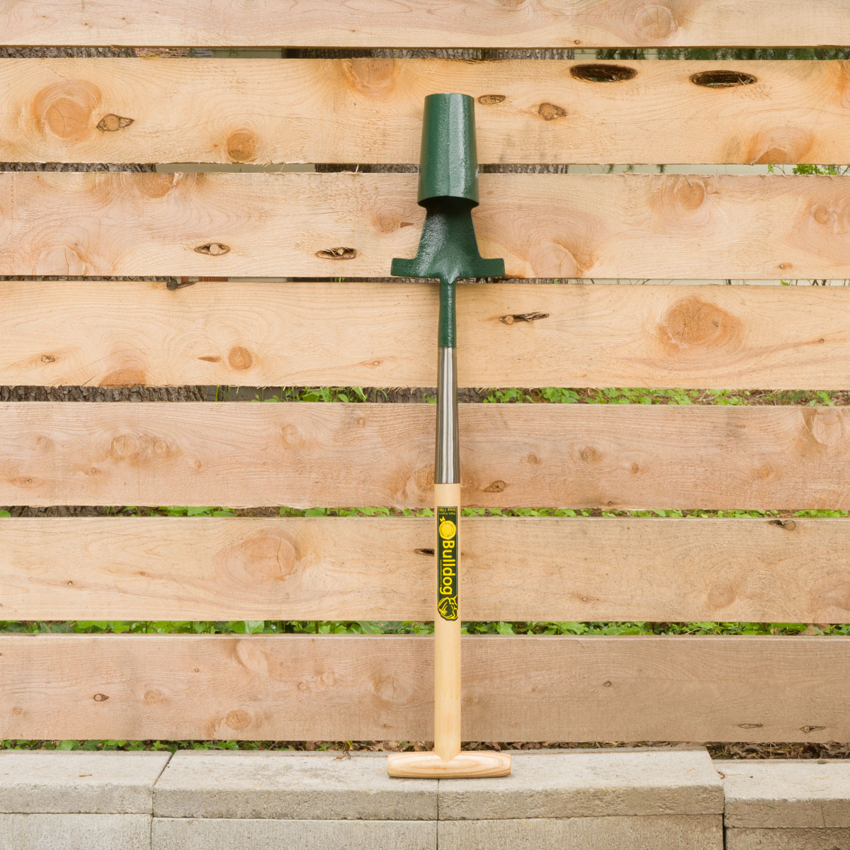 Stand Up 3" Bulb Planter (Bulldog)