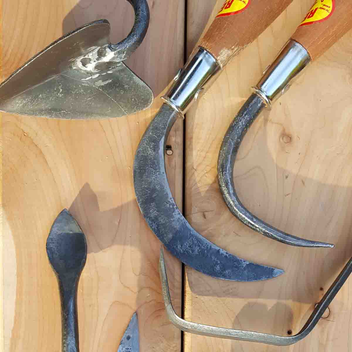 A warren hoe in the upper left, next to a crevice weeder and a root hook.